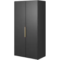 Selsey Frame - Kleiderschrank 2-türig mit Kleiderstange, 100 cm, schwarz