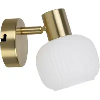 Näve Wandleuchte "Learta", gold (goldfarben), 1, Ø 10cm H: 13,5cm, 1 Stk., Leuchten, Wand oder Deckenleuchte, exkl. E14, messing matt, Glasschirm weiß opal, Wandleuchte