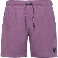 Protest Davey Badeshorts