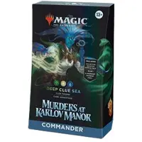 Wizards of the Coast D30271000, 13 Jahr(e)