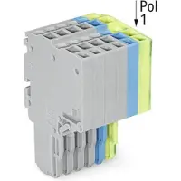 Wago 2020-206/000-038 2-Leiter-Federleiste,Push-in CAGE CLAMP,1,5 mm2,grau/blau/grün-gelb 2020206000038 - 25 Stück