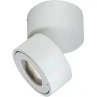 Orion LED-Außenstrahler Harvey, weiß, Ø 10 cm, Aluminium-Druckguss