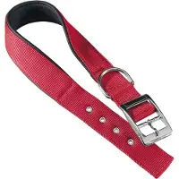Ferplast Nylon Daytona C 30 Mm 55 Cm Hundehalsband