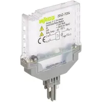 Wago 2042-7204 Solid-State-Relaismodul,Eingangsnennspannung DC 24 V,Ausgangsspannungsbereich DC 3 ... 60 V 20427204