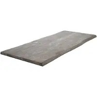 DELIFE Esstischplatte Edge 220x100cm XL Akazie Platin Live-Edge