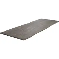 DELIFE Esstischplatte Edge 260x100cm Akazie Platin Live-Edge