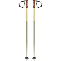 Völkl Phantastick 18mm Stöcke