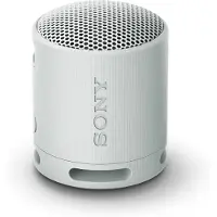 Sony SRS-XB100 Grau
