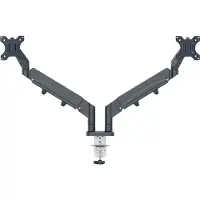 Leitz Monitorarm Ergo Dual, für 2 Displays bis 32" & bis 9 kg, dreh- und neigbar, höhenverstellbar, Kabelführung, VESA, dunkelgrau