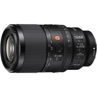 Sony FE 100mm F/2.8 Macro GM OSS