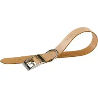 Ferplast Natural Leather C 20 Mm 43 Cm Hundehalsband