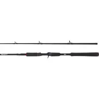 Abu Garcia Beast Pike Baitcastrute