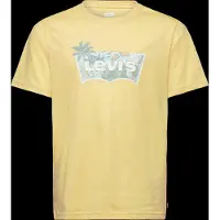 Levi's LVB High Tide Batwing T-Shirt, Raffia, 164