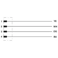 Phoenix Contact 1524307 Netzwerkkabel NBC-M12MSD/ 2,0-93B CMC NBCM12MSD2093BCMC