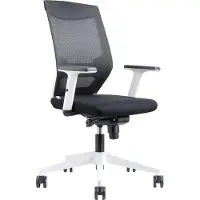 Rocada Ergoline 908W-4, Gepolsterter, ausgestopfter Sitz, Netz-Rückenlehne, Schwarz, Schwarz, Stoff, Schaum, Netz, Technopolymer