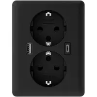 USB 2U-449719 Unterputz-Dose mit -C, mit -Ladeausgang Schwarz (matt)
