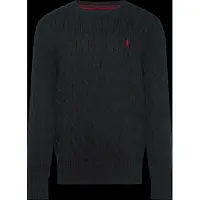 Ralph Lauren Pullover 323702674061 Schwarz Regular Fit