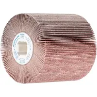 PFERD 44783120 Lamelslibeskive Diameter 100 mm 1 stk