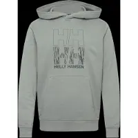 Helly Hansen Core Graphic Kapuzenpullover