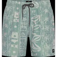 Rip Curl RipCurl Sessions Volley aloe (3237) 2XL
