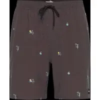 Rip Curl Skelly Breach Volley Badeshorts