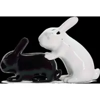 Winkee Bunny Magnetisch Salz-und Pfeffermühle