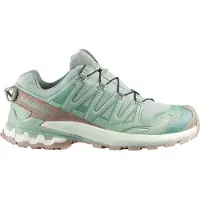 Salomon Trailrunningschuh "XA PRO 3D V9 GORE-TEX LIFELONG W", Damen, Gr. 41, wrought iron, oxford tan, vanilla ice, Leder, Synthetik, Schuhe Trailrunningschuh, wasserdicht