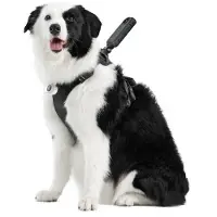 Insta360 Pet Harness Mount Kamerahalterung