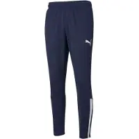 Puma Teamliga Training Hosen