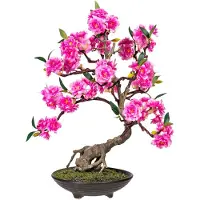 Otto Home Kunstbonsai "Margarete" Kunstpflanze, in formschöner Zementschale