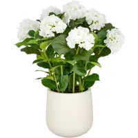 Creativ Green Kunstpflanze "Hortensie" im eleganten Topf
