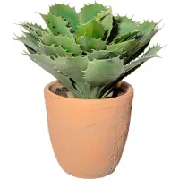 Creativ Green Künstliche Zimmerpflanze "Echeveria im Terracottatopf", grün, H:32cm, Obermaterial: 100% Polyethylen, Kunstpflanzen, Künstliche Zimmerpflanze