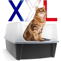 IRIS OHYAMA , XXL Katzenklo, Katzentoilette Hoher Rand, Grau, Großes Katzenklo, Abnehmbare Ränder, Auslaufschutz, Einfache Reinigung, Für Große Katzen, Zwei Katzen, Maine Coon, BPA-frei – CLH-XL