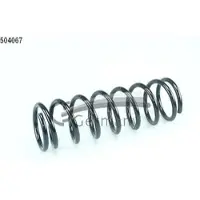 CS Germany Fahrwerksfeder 30110767 Vorderachse
