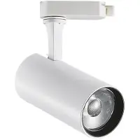 Ideal Lux 341101 FILO Pendelleuchte D600mm LED 19W 1750/1520lm 2700K Messing