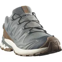 Salomon Trekkingschuhe Xa Pro 3D V9 Gtx L49296100 Grau
