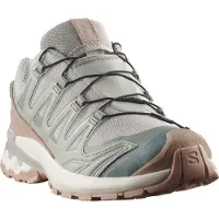 Salomon Schuhe XA PRO 3D V9 GTX LIFELONG W, Farbe: Geschmiedetes Eisen/Oxford Braun/Vanilleeis, Größe: 40,5