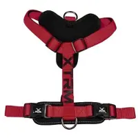 Nayeco X-trm Cronos Neon Flash Hundegeschirr
