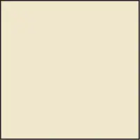 Lee Resin CT-Filter 100 x 100mm 81B