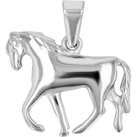Akzent Kettenanhänger "Amigo, langlebig", silber (silberfarbig), Schmuckanhänger, Damen, Edelstahl, Kettenanhänger