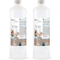 Höfer Chemie 2x1 kg BAYZID SPA Flüssigchlor zur schnellen Wasserpflege von Whirlpools