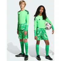 Adidas Torwartshorts für Kinder Competition Tiro 26