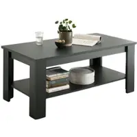 Furn.Design Couchtisch "Forres" grün Landhaus Beistelltisch mit Ablage 120 x 60