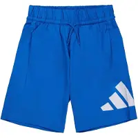 Adidas Shorts Essentials Big Logo für Kinder