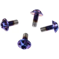 Silca Flaschenhalter Schrauben 25 Einheiten