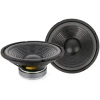 HomeShopXL Tieftöner - 10" / 250 mm - 120/240 W - 8 Ω [30755]