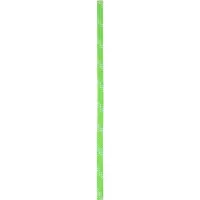 Edelrid Static Low Stretch 11,0mm neon green (499) 60 M