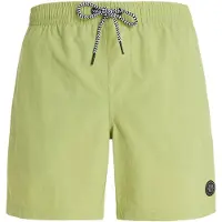 Protest Faster Beachshort grey green (650) XL