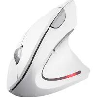 Trust 25132 Kabellose Ergonomische Maus