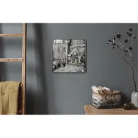 Coloray Hodiny Unikátní 30x30 cm Tiché hodiny Pro obývací pokoj a kuchyň Nástěnné hodiny Plátno Bílé ručičky hodin - Zvířata kráva